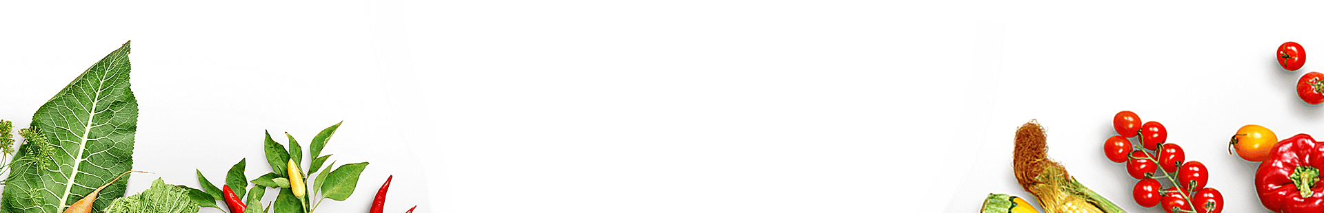 vitquayvuongkiet.com